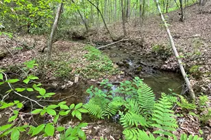 0 Everett Springs Rd, Armuchee, GA 30105 - Photo 1