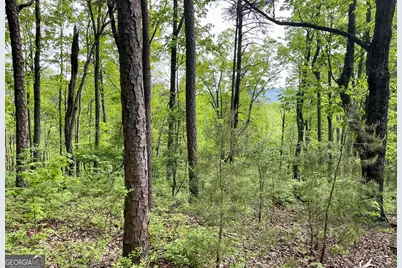 0 Everett Springs Road, Armuchee, GA 30105 - Photo 13