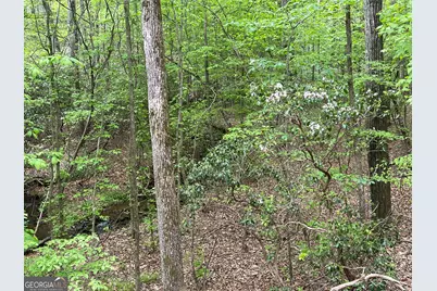 0 Everett Springs Road, Armuchee, GA 30105 - Photo 3