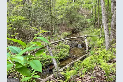 0 Everett Springs Road, Armuchee, GA 30105 - Photo 11