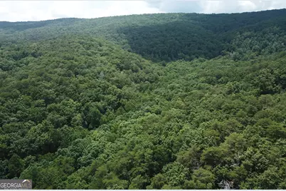 0 Everett Springs Road, Armuchee, GA 30105 - Photo 21