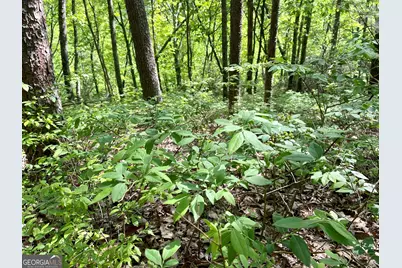 0 Everett Springs Road, Armuchee, GA 30105 - Photo 15