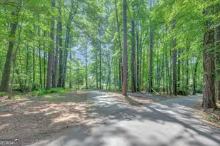 157 Rockspray Ridge, Peachtree City, GA 30269 - Photo 59