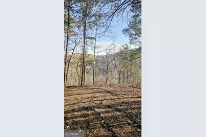 137 Abe Court, Ranger, GA 30734 - Photo 1