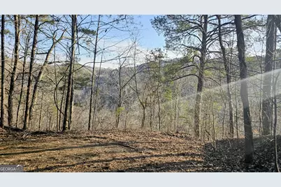 137 Abe Court, Ranger, GA 30734 - Photo 5