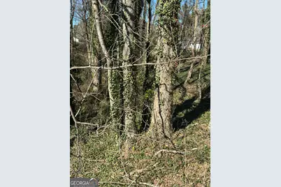 2730 E 166 Highway E, Carrollton, GA 30116 - Photo 7