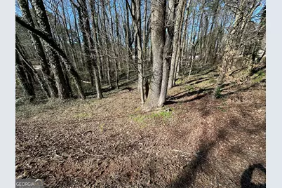 2730 E 166 Highway E, Carrollton, GA 30116 - Photo 5