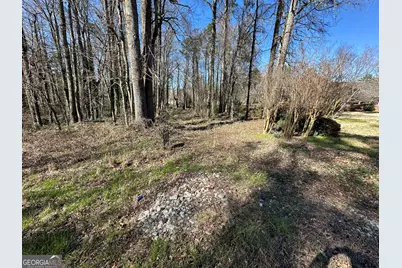 2730 E 166 Highway E, Carrollton, GA 30116 - Photo 9