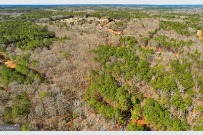 0 Pickett Bridge Road, Covington, GA 30016 - Photo 13