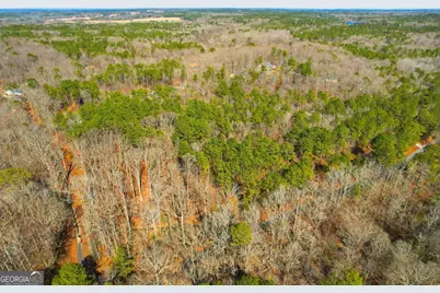 0 Pickett Bridge Road, Covington, GA 30016 - Photo 19