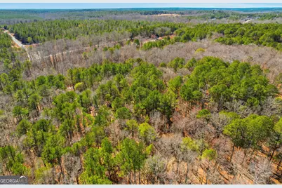 0 Pickett Bridge Road, Covington, GA 30016 - Photo 15