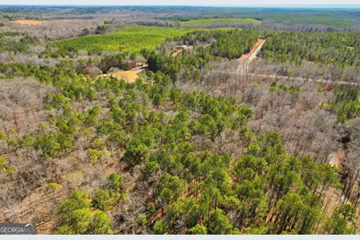 0 Pickett Bridge Road, Covington, GA 30016 - Photo 21