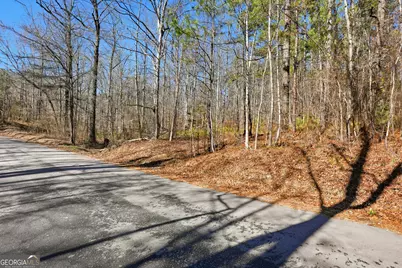 0 Pickett Bridge Road, Covington, GA 30016 - Photo 9