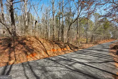 0 Pickett Bridge Road, Covington, GA 30016 - Photo 1