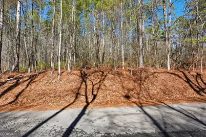 0 Pickett Bridge Road, Covington, GA 30016 - Photo 11