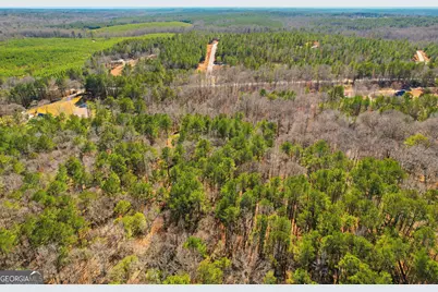0 Pickett Bridge Road, Covington, GA 30016 - Photo 17