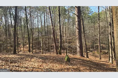 225 Tanager Ct, Monticello, GA 31064 - Photo 55