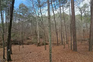 225 Tanager Ct, Monticello, GA 31064 - Photo 53