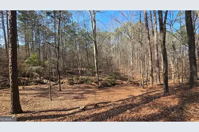 225 Tanager Ct, Monticello, GA 31064 - Photo 57