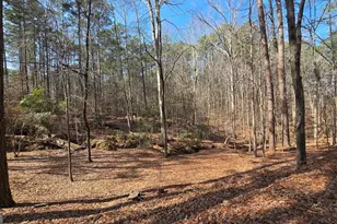 225 Tanager Ct, Monticello, GA 31064 - Photo 57