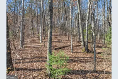 Lot 50 &amp; 51 Meadow Crest Drive, Cleveland, GA 30528 - Photo 9