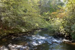 1062 River Bend Rd, Ellijay, GA 30540 - Photo 71