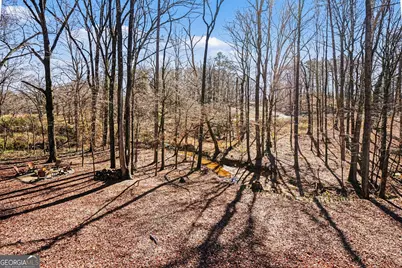 994 Lakeview Drive, Commerce, GA 30529 - Photo 37