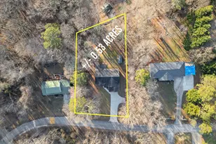 296 Modoc Dr, Cornelia, GA 30531 - Photo 41