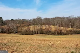 3794 Hwy 106 N, Danielsville, GA 30633 - Photo 11