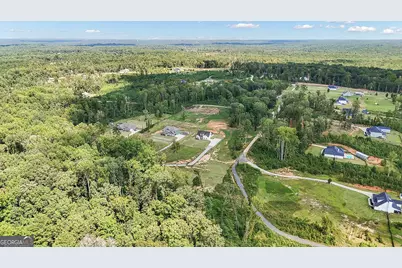 150 Wild Boar Way, Newnan, GA 30263 - Photo 59