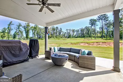 150 Wild Boar Way, Newnan, GA 30263 - Photo 43