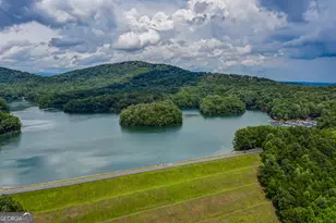 10 Chestnut Knoll Point, Jasper, GA 30143 - Photo 51