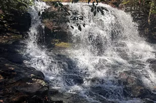 10 Chestnut Knoll Point, Jasper, GA 30143 - Photo 59