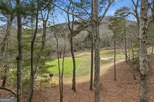 10 Chestnut Knoll Point, Jasper, GA 30143 - Photo 41