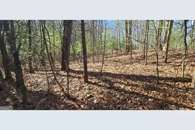 Lot 12 Oak Loop #12, Mineral Bluff, GA 30559 - Photo 7