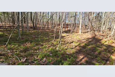 Lot 12 Oak Loop #12, Mineral Bluff, GA 30559 - Photo 9