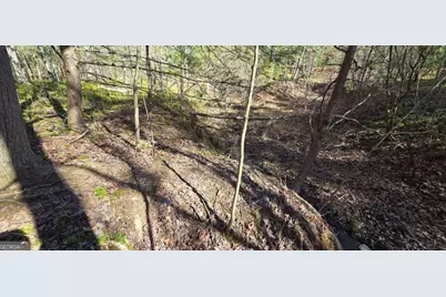 Lot 12 Oak Loop #12, Mineral Bluff, GA 30559 - Photo 11