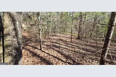 Lot 12 Oak Loop #12, Mineral Bluff, GA 30559 - Photo 13