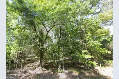 0 Lambert Lane, Sylvester, GA 31791 - Photo 5