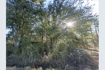 0 Lambert Lane, Sylvester, GA 31791 - Photo 1