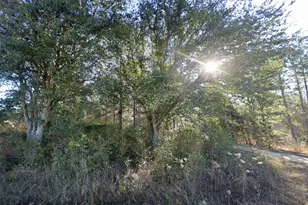 0 Lambert Ln, Sylvester, GA 31791 - Photo 1