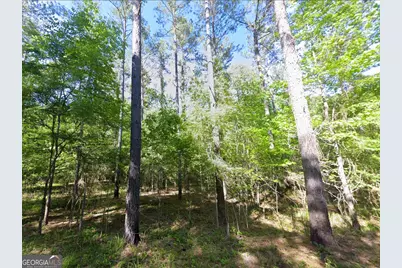 0 Lambert Lane, Sylvester, GA 31791 - Photo 3