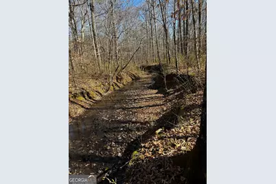 0 Thaxton Rd, Rayle, GA 30660 - Photo 11