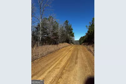 0 Thaxton Rd, Rayle, GA 30660 - Photo 3