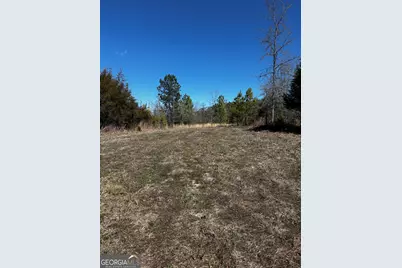 0 Thaxton Rd, Rayle, GA 30660 - Photo 5