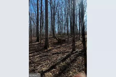 0 Thaxton Rd, Rayle, GA 30660 - Photo 9
