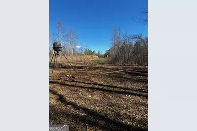 0 Thaxton Rd, Rayle, GA 30660 - Photo 13