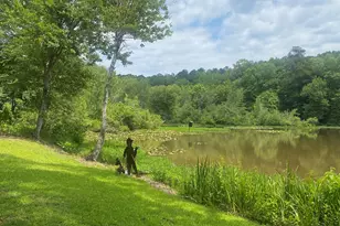 475 Harbour Shores, Jackson, GA 30233 - Photo 25