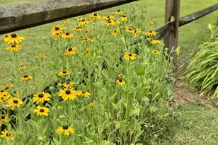 475 Harbour Shores, Jackson, GA 30233 - Photo 27