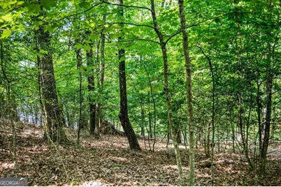 Lot 25 Talon Trace, Blairsville, GA 30512 - Photo 13